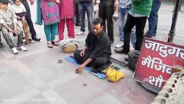 Indian Street Circus Amazing Talent Perfect and Clean Roadside Magic Show  AR Entertainments