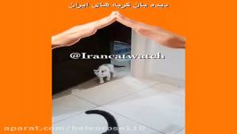 وقتى بچه هاى شهاب مدرسه باز میگردند