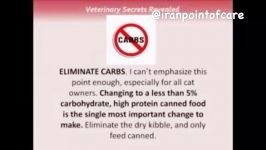 درمان دیابت در سگ گربه تنظیم رژیم غذایی
