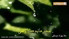 ملا بهزاد دوسكى سه رهاتیه كا واقعى