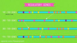 Evolutionary Development Chicken Teeth  Crash Course Biology #17