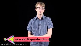 The Reproductive System How Gonads Go  CrashCourse Biology #34