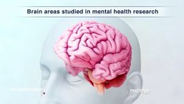 How Does Brain Work In Mental Health  Manipal Hospital