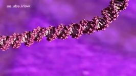 ✔ DNA Replication Animation  Super EASY