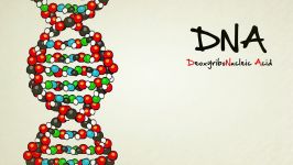 What is DNA and How Does it Work