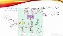 تدریس مفهومی زیست کنکور، دفع مواد زائد کلیه قسمت اول