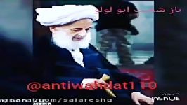 حضرت آیت الله مجتهدی تهرانی قبر مطهر حضرت فیروز