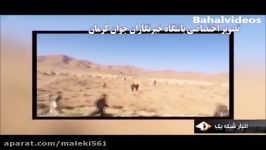 ویدئوی منتشر شده وارد شدن قاچاقی جوانان افغان به ایران