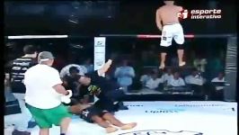 ناک اوت زیبا در mma