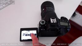 Canon 80d vs Nikon D7200  Head to head parison