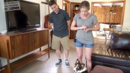 How to Get Your Dog to STOP IGNORING YOU 2 Unexpected Dog Training Tips