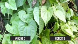 iPhone 7 vs Honor 8  Camera Comparison Photos and Videos