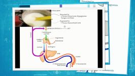 خطرات مصرف لبنیات شیر حاوی روغن پالم برای جامعه   دکتر یزدان نیاز