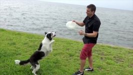 Come when Called The FASTEST Way to Teach YOUR DOG to COME WHEN CALLED ANYWHERE