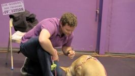 Dog Training 101 What matters most in dog training