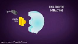 Drug Receptor Interactionsتداخل گیرنده دارویی