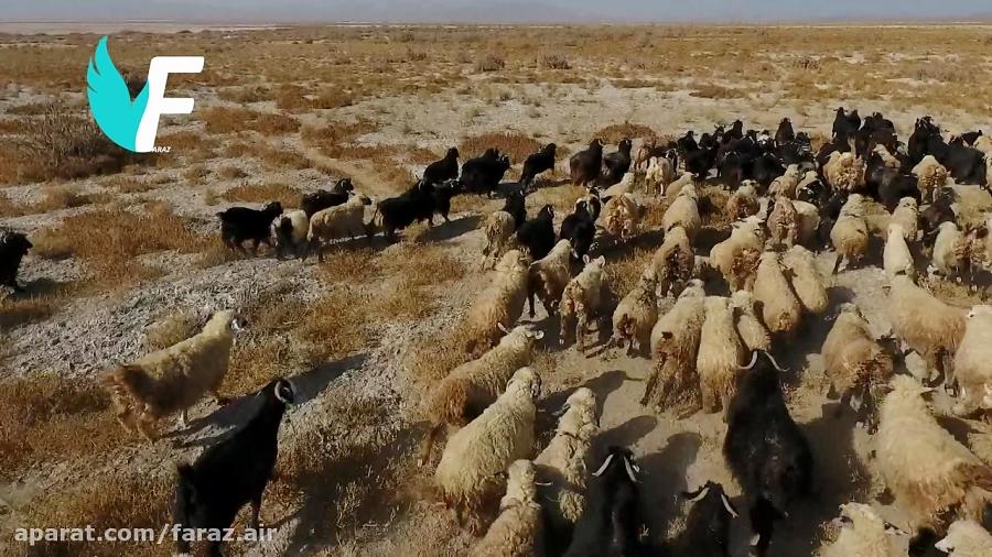 تصویربرداری هوایی فراز  تالاب کجی نهبندان