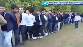 رقص گروهی شاد باحال کردی