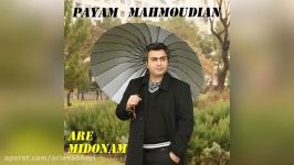 Payam Mahmoudian – Are Midonam