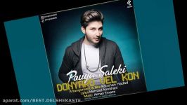 Pouya Saleki – Donyaro Vel Kon New 2016 پویا سالکی  دنیارو ول کن