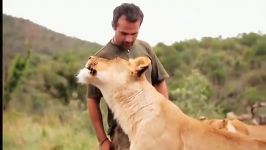 Lion Man Kevin Richardson  South Africa