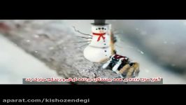 کیش زندگی  سال 2017 بر همه مبارک  کریسمس مبارک