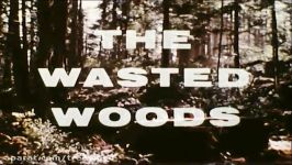 Logging The Wasted Woods  1965 Educational Documentary  WDTVLIVE42