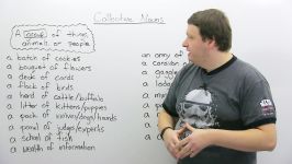 Collective Nouns in English How to talk about groups of people and things