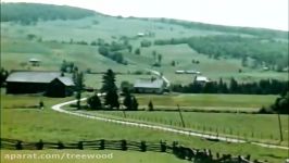 Tree Farming Timber in the Northeast circa 1946 Logging for Continuous Production