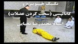 انسان، روح روان است؛نه جسم فیزیکی. نیروهای متافیزیکی