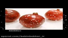 تخفیفات ویژه شب یلدا در ببین بخر www.Bebinbekhar.ir