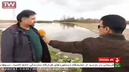 کشتار بیرحمانه پرندگان مهاجر در فریدونکنار ۹۵