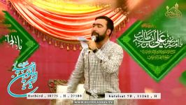 علی امام من است منم غلام علی