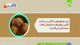 توضیحاتی در مورد بیماری فیبروکیستیک سینه