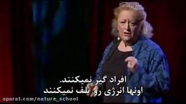 ted talks مارگارت هفرنان، رمز موفقیت گروهی