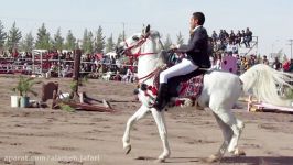 شوی اسب کُرد کِی لان  دانشگاه علامه جعفری رفسنجان