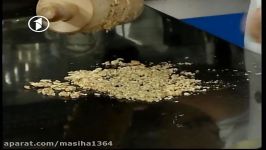 Ashpazi  Walnut Sweet recipe آشپزی – شیرینی چهار مغز دار