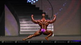 10 فیگور Shawn Rhoden در مستر المپیا 2014  رتبه 3