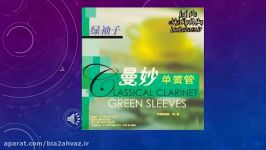 قطعه ای زیبا موسیقی بیکلام Classical Clarinet Greens