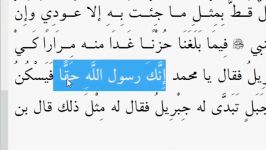 پیامبر پیروان سقیفه بارها قصد خودکشی داشت العیاذ بالله