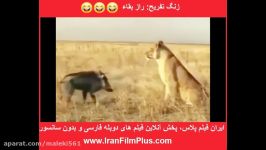 دوبله راز بقای خنده دار گواتمالایی 01