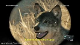 MGSV Phantom Pain  D Dog Licking Secrets Metal Gear Solid 5