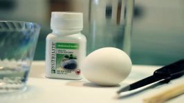 Egg and Cholesterol Pill Experiment