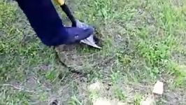 Mole Prospector  Video shows how to find a pot full of coins buried by our team for example