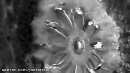 Bullet hitting wall high speed camera slow motion