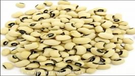 Health Benefits of Haricot beans