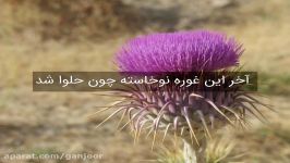 غزل شمارهٔ ۱۹۱ سعدی