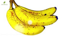 If You Eat 2 Bananas Per Day For A Month This Is What Happens To Your Body