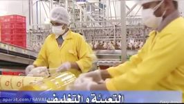 Most Amazing  Perfect Machine production technology and Cutting chicken Very Effective New 2016