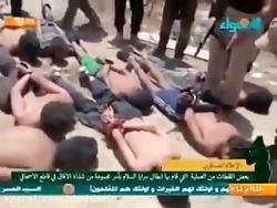 نیروهای داعش در قبضه سرایا السلام الحشد الشعبی